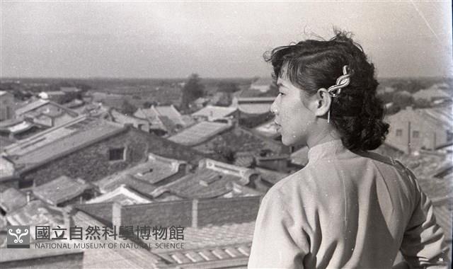1950至2006年臺灣常民生活藏品圖，第1張