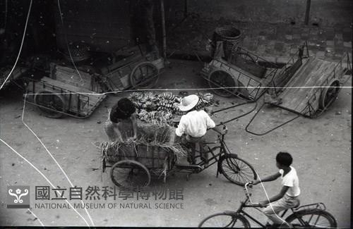 1950至2006年臺灣常民生活藏品圖，第1張