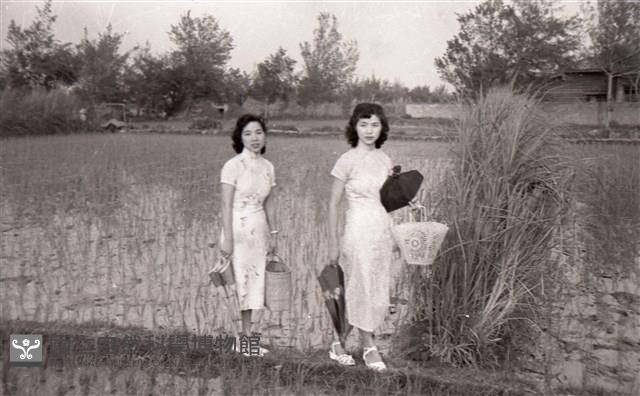 掃墓祭祖（1950至2006年臺灣常民生活）藏品圖，第1張