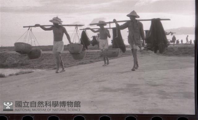 1950至2006年臺灣常民生活藏品圖，第1張