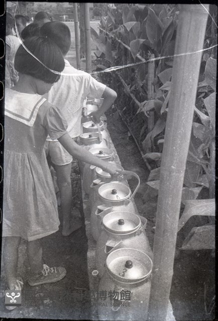 1950至2006年臺灣常民生活藏品圖，第1張