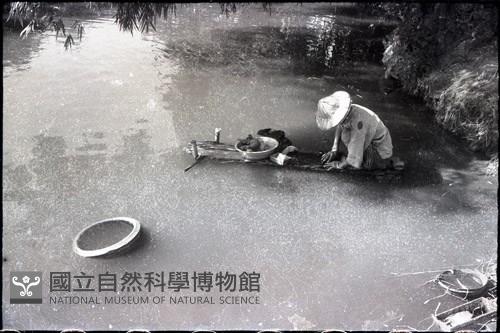 1950至2006年臺灣常民生活藏品圖，第1張