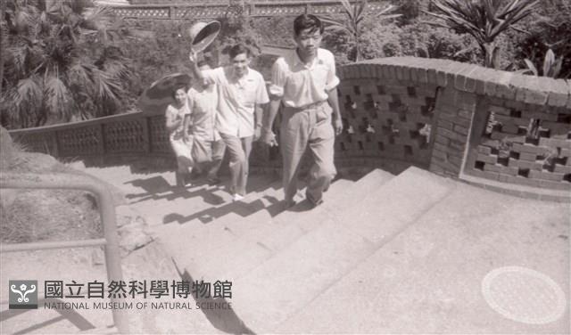 1950至2006年臺灣常民生活藏品圖，第1張