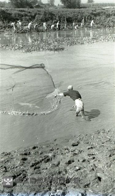 1950至2006年臺灣常民生活藏品圖，第1張