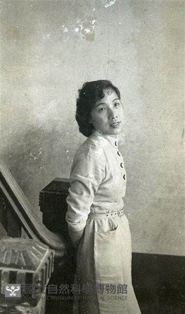 1950至2006年臺灣常民生活藏品圖，第1張