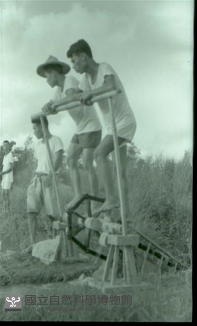 1950至2006年臺灣常民生活藏品圖，第1張
