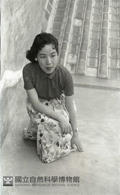 1950至2006年臺灣常民生活藏品圖，第1張