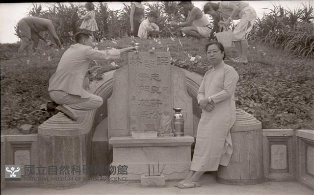 1950至2006年臺灣常民生活藏品圖，第1張