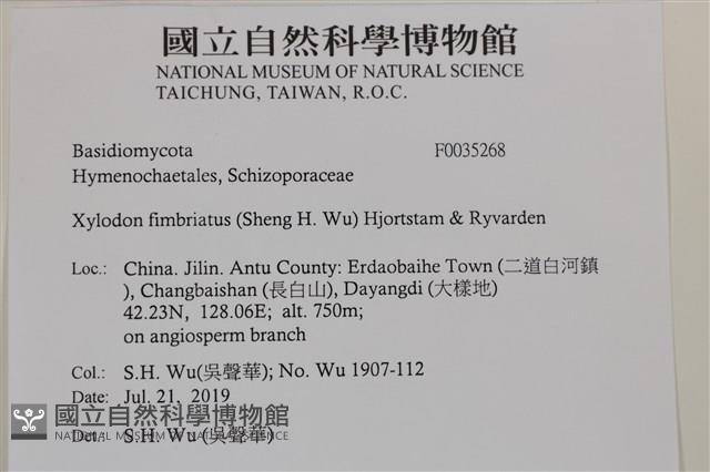 登錄號:F0035268藏品圖，第2張