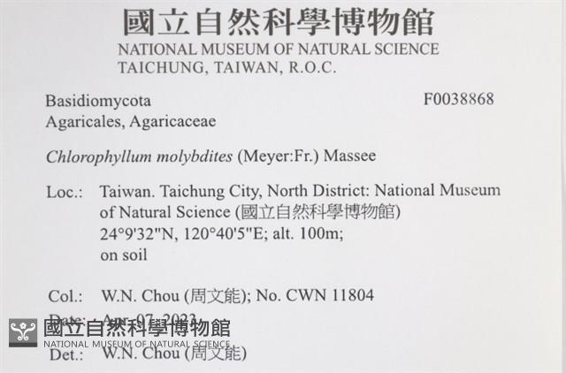 登錄號:F0038868藏品圖，第2張