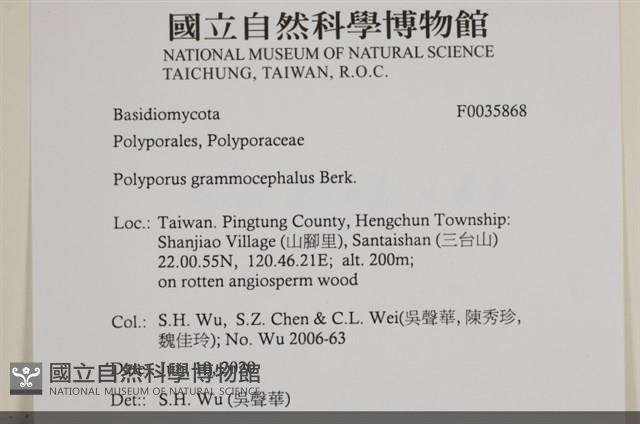 登錄號:F0035868藏品圖，第2張