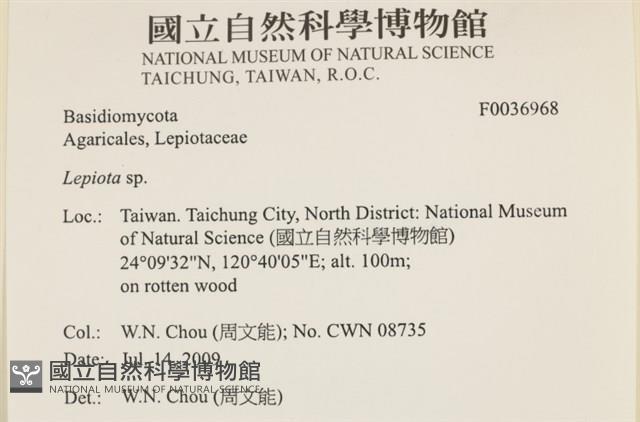 登錄號:F0036968藏品圖，第2張
