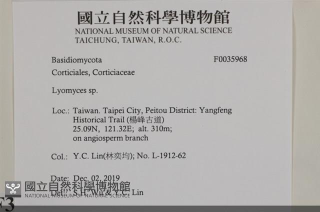 登錄號:F0035968藏品圖，第2張