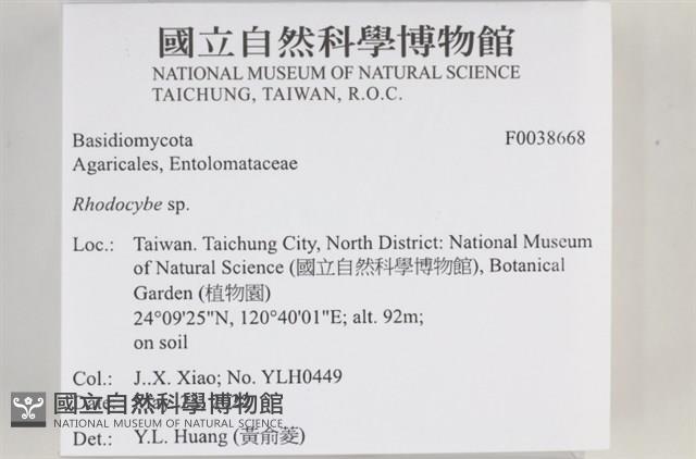 登錄號:F0038668藏品圖，第2張