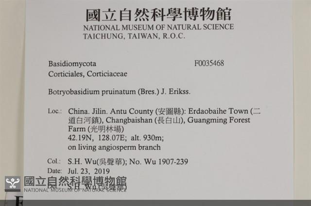 登錄號:F0035468藏品圖，第2張
