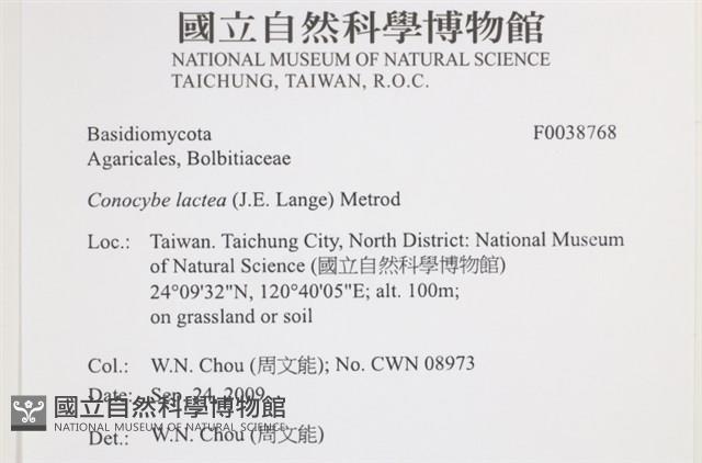 登錄號:F0038768藏品圖，第2張