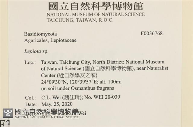 登錄號:F0036768藏品圖，第2張