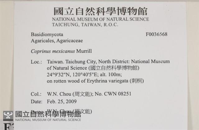 登錄號:F0036568藏品圖，第2張
