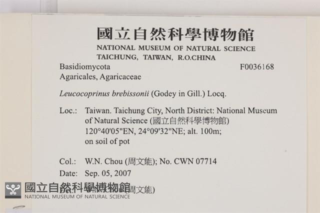 登錄號:F0036168藏品圖，第2張