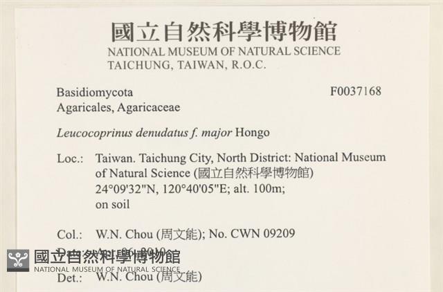 登錄號:F0037168藏品圖，第2張