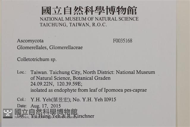 登錄號:F0035168藏品圖，第2張