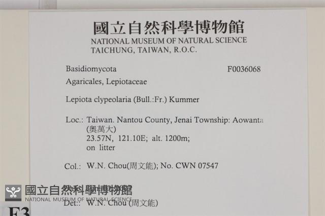 登錄號:F0036068藏品圖，第2張