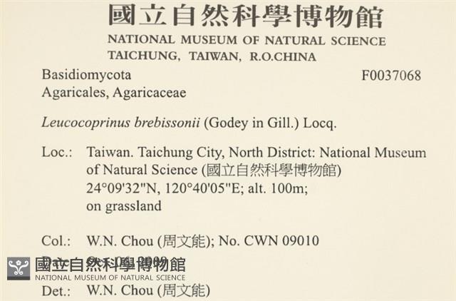 登錄號:F0037068藏品圖，第2張