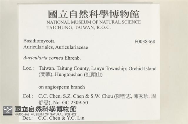 登錄號:F0038368藏品圖，第2張
