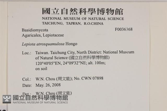 登錄號:F0036368藏品圖，第2張