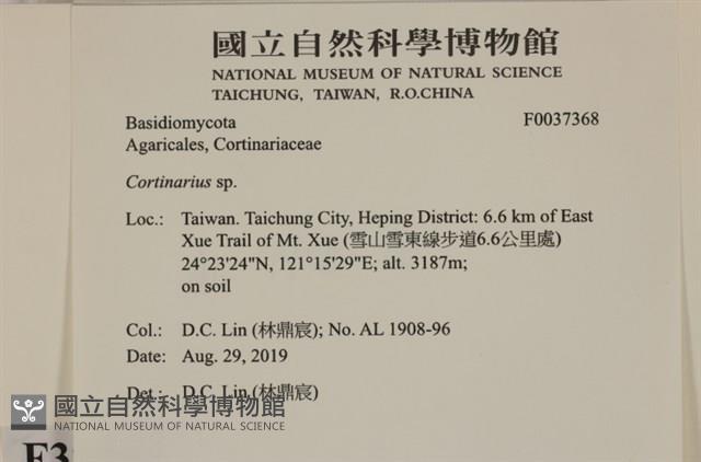 館號:F0037368藏品圖，第2張
