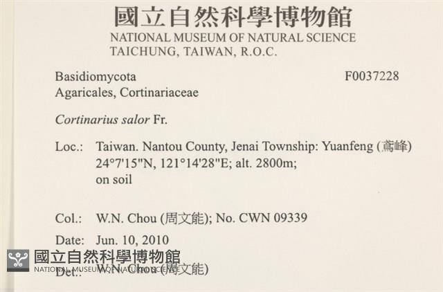 登錄號:F0037228藏品圖，第2張