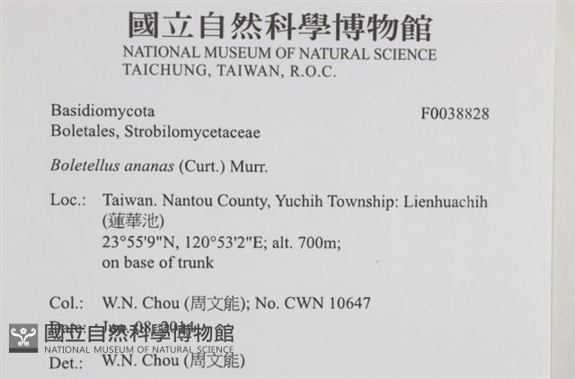 登錄號:F0038828藏品圖，第2張