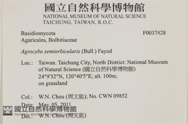 登錄號:F0037828藏品圖，第2張