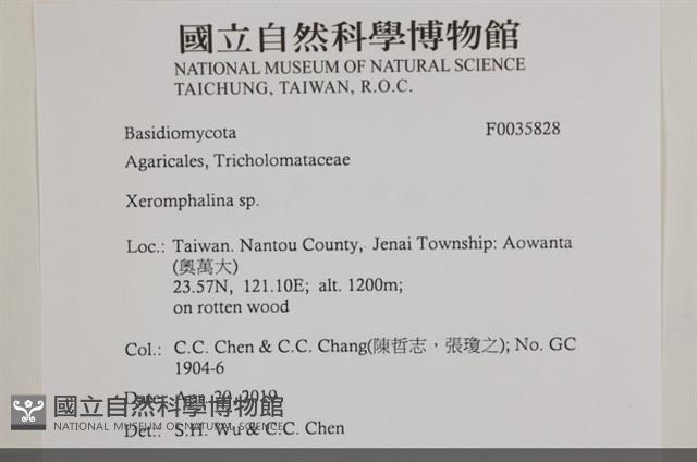 登錄號:F0035828藏品圖，第2張