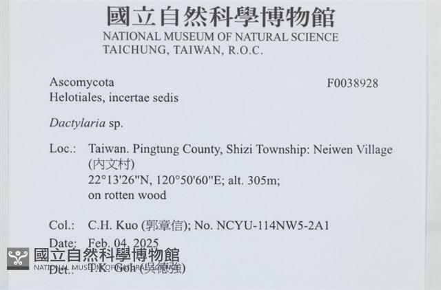 登錄號:F0038928藏品圖，第2張