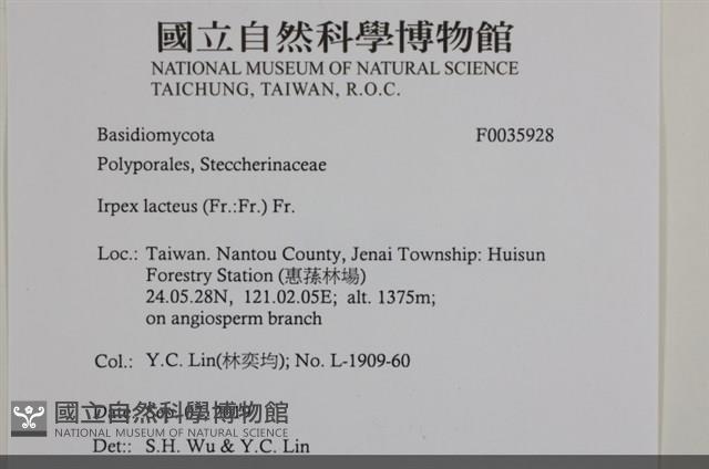 登錄號:F0035928藏品圖，第2張
