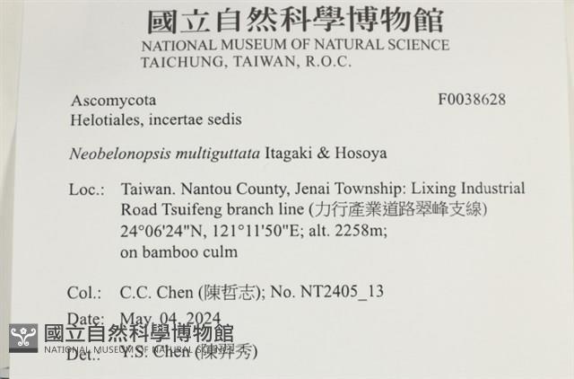 登錄號:F0038628藏品圖，第2張