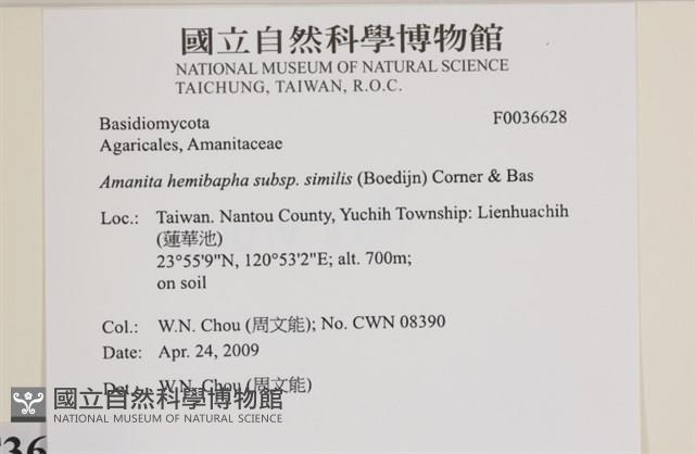 登錄號:F0036628藏品圖，第2張