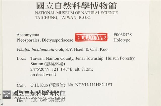 登錄號:F0038428藏品圖，第2張