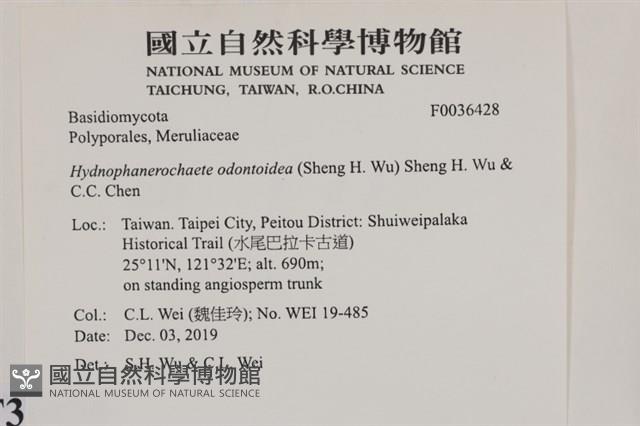 登錄號:F0036428藏品圖，第2張