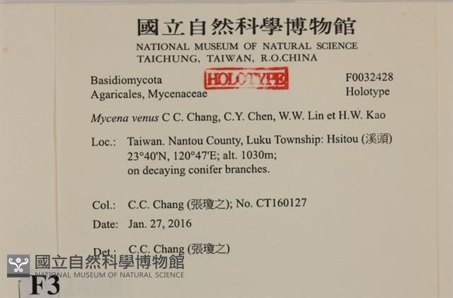 登錄號:F0032428藏品圖，第3張