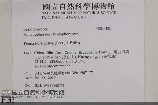 登錄號:F0035428藏品圖，第2張