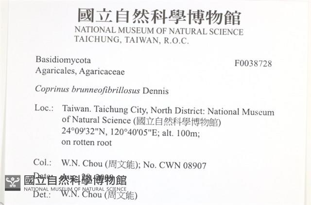 登錄號:F0038728藏品圖，第2張