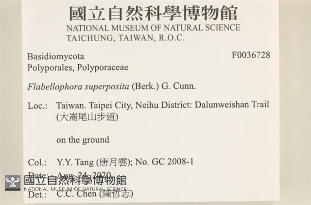 登錄號:F0036728藏品圖，第2張