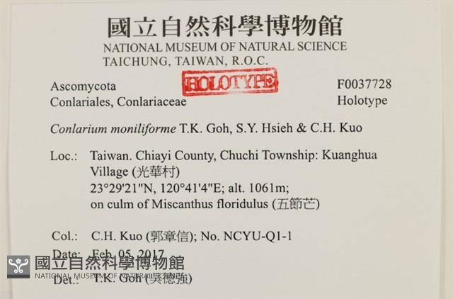 登錄號:F0037728藏品圖，第2張