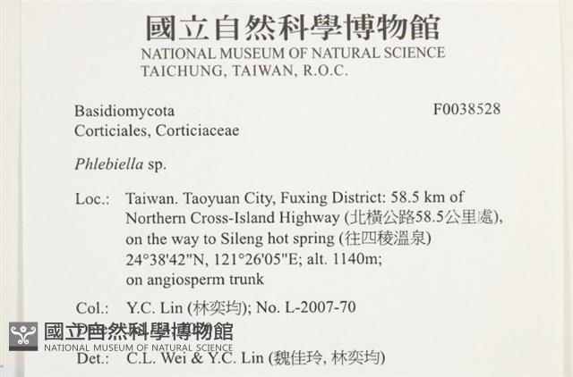 登錄號:F0038528藏品圖，第2張