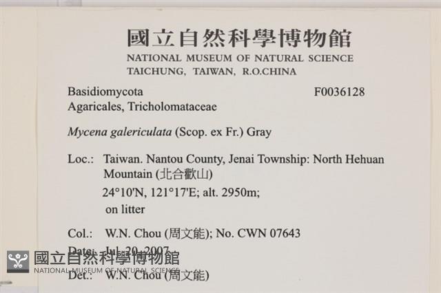 登錄號:F0036128藏品圖，第2張