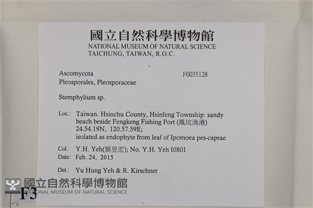 登錄號:F0035128藏品圖，第2張