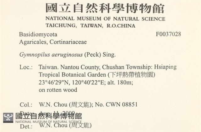 登錄號:F0037028藏品圖，第2張