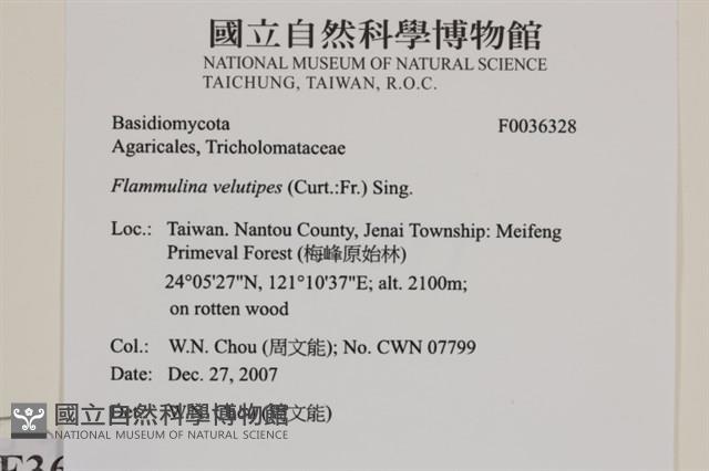 登錄號:F0036328藏品圖，第2張